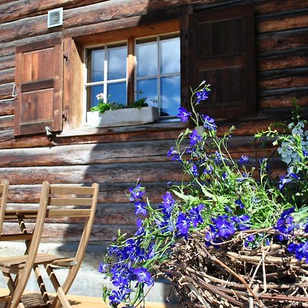 Hof Surri Apartman Schiers Kültér fotó